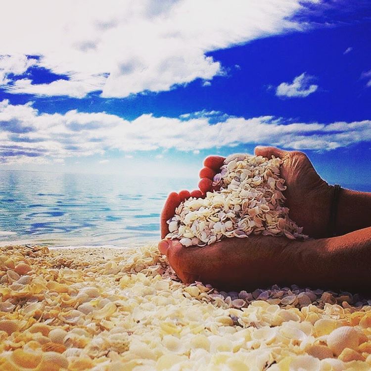 4 DAY SHARK BAY EXPERIENCE